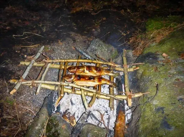 Fische auf einem holzrost ueber einem feuer in der natur