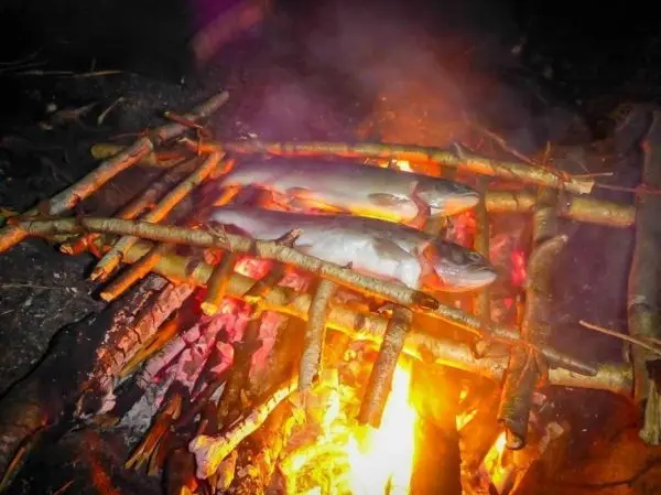 Fische werden auf einem improvisierten Grill über einem offenen Feuer gegart