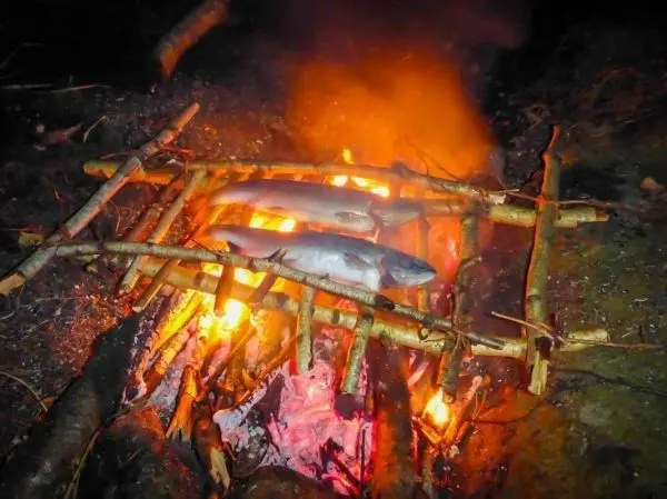 Fische werden über einem offenen Feuer auf einem improvisierten Grill geräuchert