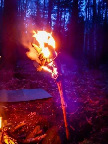 Kleine Flamme brennt an einem Holzstock im Wald