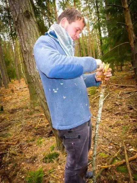Messer schneidet Holzstück zur Herstellung von Zunder im Wald