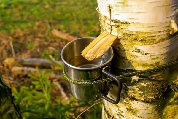 Eisenbecher hängt an einem Baumstamm, gesichert mit Paracord und Holzstück