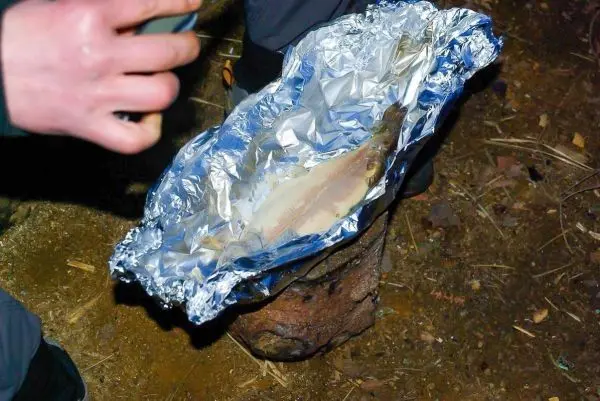 Fisch in Alufolie auf einem Holzstück zum Garen über Feuer