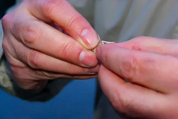 Hände binden eine Angelschnur an einen Haken