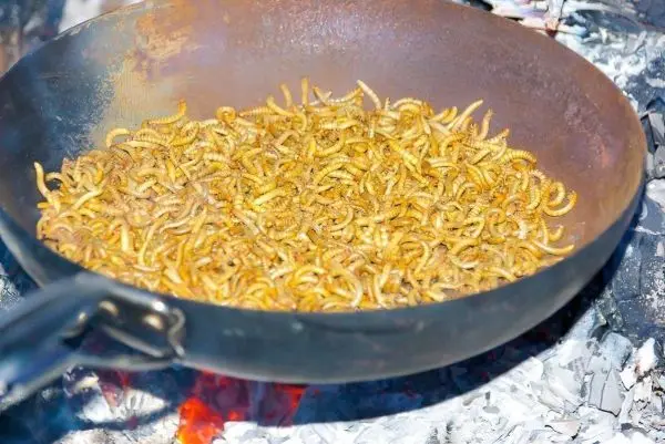 In einer Pfanne werden Insekten über offenem Feuer geröstet