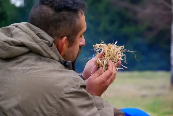 Person hält eine Handvoll trockenes Gras in der Hand