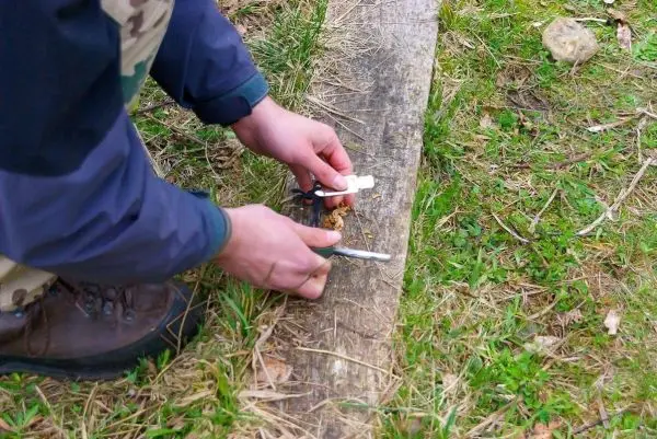 Person schneidet Holzstück mit einer Schere auf dem Boden