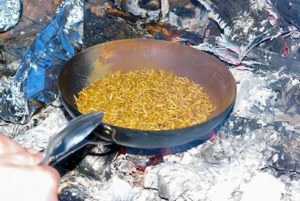 Pfanne mit Insekten auf Glut, Hand hält einen Löffel