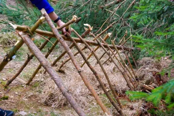 Selbstgebaute Konstruktion aus Ästen wird im Wald aufgestellt