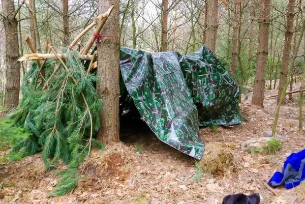 Tarp-Notunterkunft aus Ästen und Tarp, umgeben von Bäumen und Laub