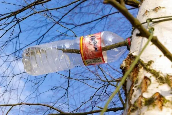 Wasserflasche hängt an einem Ast eines Baumes, mit Schnur befestigt