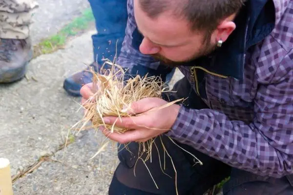 Zunder wird in den Händen gehalten und vorbereitet