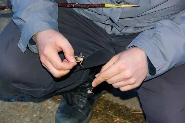 Zwei kleine Äste werden zum Zunder vorbereitend in der Hand gehalten