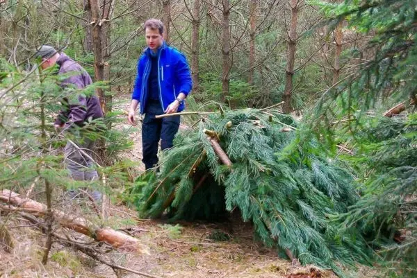 Zwei Personen bauen eine Notunterkunft aus Ästen und Tannenzweigen