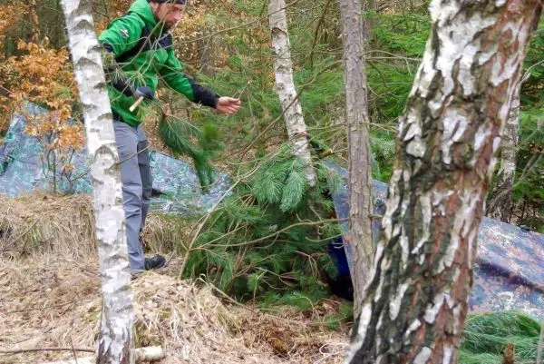 Zweige werden zur Konstruktion einer Tarp-Notunterkunft gesammelt
