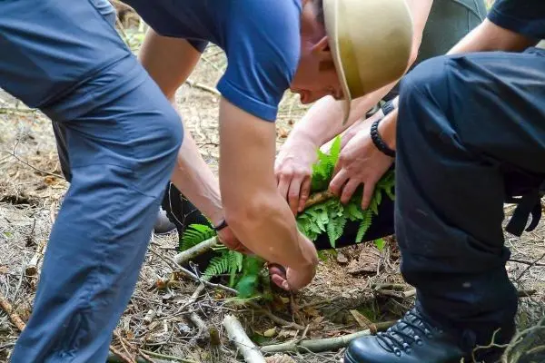Drei Personen binden Pflanzenmaterial zu einer improvisierten Trage zusammen