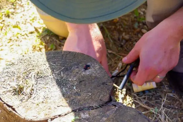 Feuerstahl erzeugt Funken auf einem Holzstück