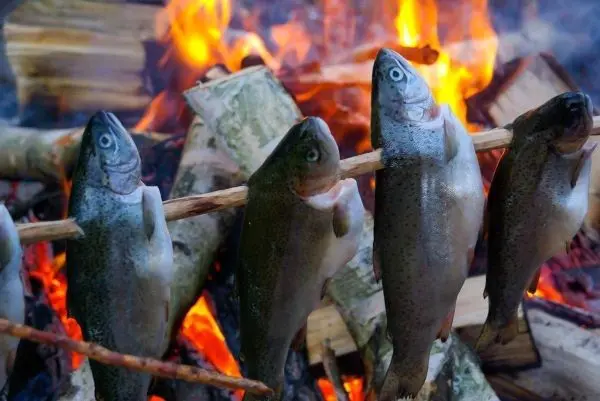 Fische auf einem Stock über einem offenen Feuer garen