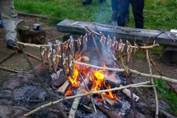 Fische werden über einem Feuer gegrillt