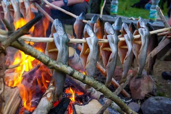 Fische werden über einem Feuer gegrillt
