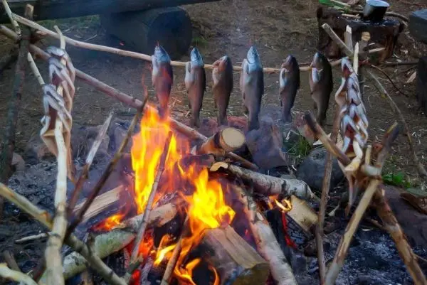 Fische werden über einem offenen Feuer geröstet