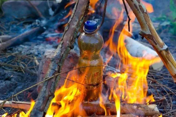 Flasche steht zwischen brennenden Ästen im Feuer