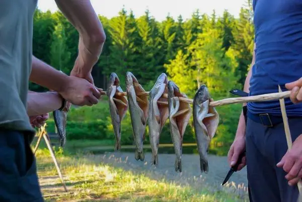 Hände halten einen Stock mit mehreren gegrillten Fischen