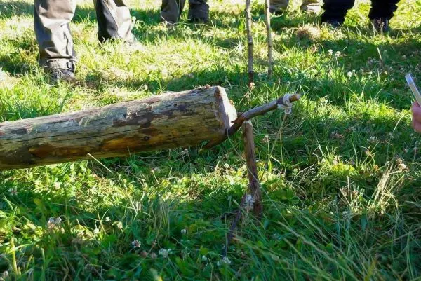 Holzstück liegt auf dem Boden und ist mit einem Stock verbunden beim Überlebenstraining