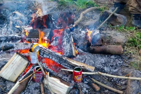 Kleine Flamme brennt zwischen Holzstücken und Dosen im Feuer