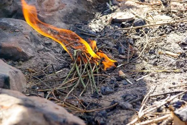 Kleine Flamme entzündet Zunder auf dem Boden