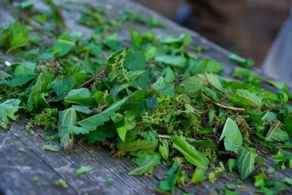 Kleinere Pflanzenblätter und Zweige liegen auf einem Holzbrett