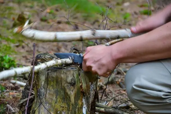 Messer schneidet Holzstück auf einem Baumstumpf im Wald