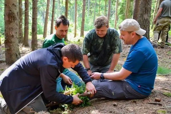 Person bindet Pflanzenmaterial zusammen, drei Personen beobachten im Wald
