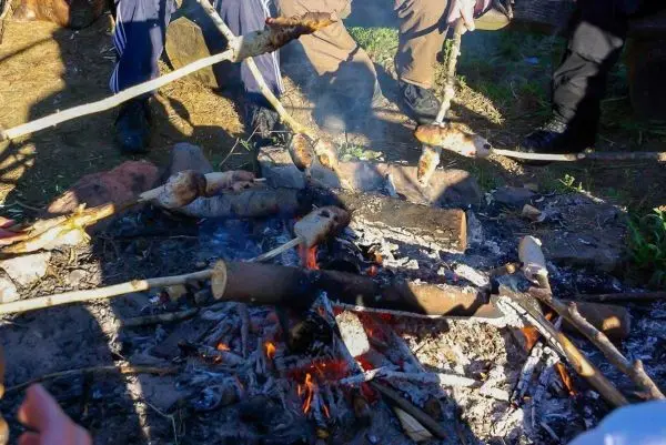 Personen halten Stöcke über ein Feuer zum Rösten von Essen beim Überlebenstraining