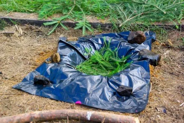Schwarze Plane mit Ästen und Steinen als improvisierter Unterstand für Zunder