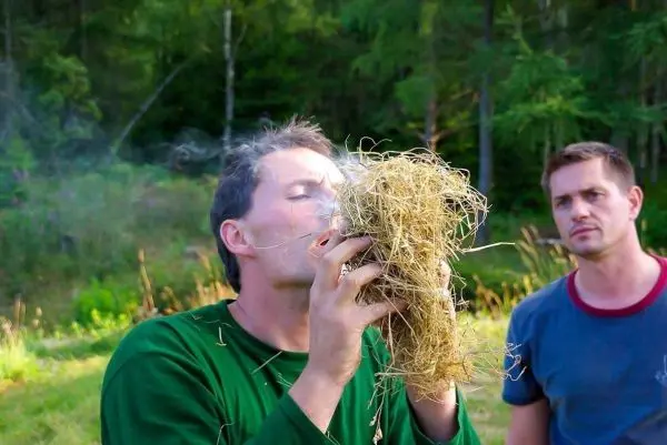 Zunder glimmt, während jemand in ein Zundernest bläst