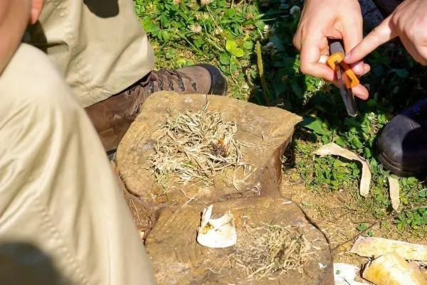 Zunder wird auf einem Holzstück vorbereitet, während ein Messer in der Hand gehalten wird