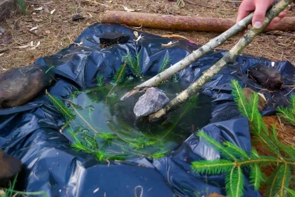 Zwei Äste halten einen Stein über einer Wasseransammlung in einer improvisierten Mulde