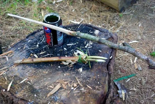 Zwei Holzstöcke liegen auf einem Baumstumpf neben einer Dose