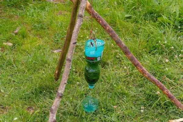 Eine hängende Flasche ist an einem Gestell aus Ästen befestigt