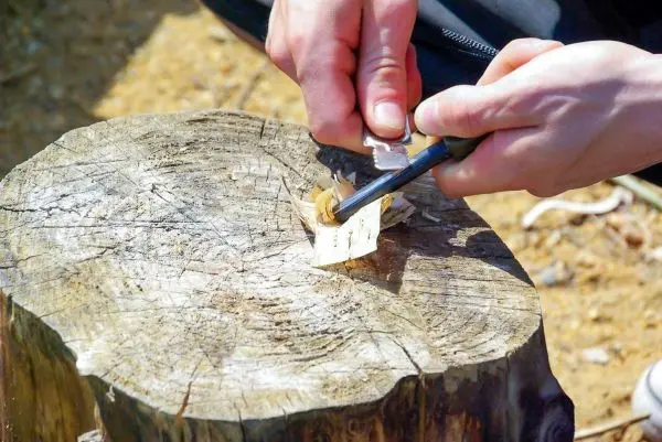 Feuerstahl erzeugt Funken auf Zunderstück auf Holzstamm
