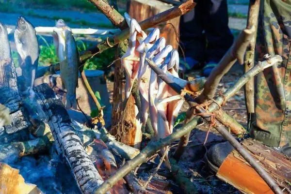 Fische hängen über einem offenen Feuer zum Garen an einem improvisierten Gestell