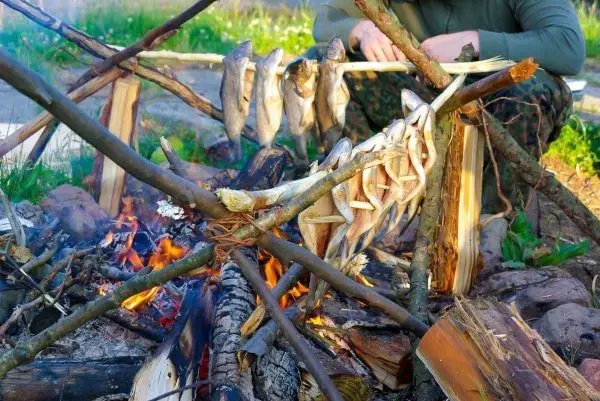 Fische werden über einem offenen Feuer auf einem improvisierten Grill geräuchert