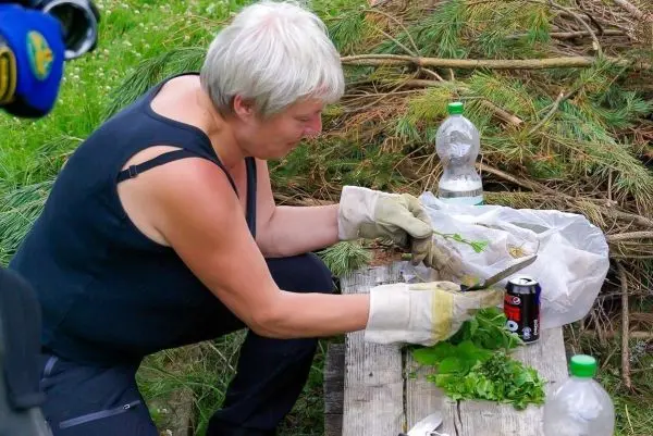 Frau schneidet Kräuter auf einem Tisch mit Handschuhen und Messer