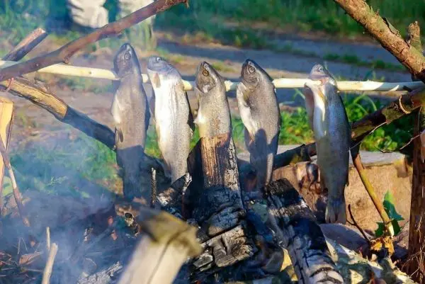 Fünf Fische hängen über einem Feuer auf einem Stock