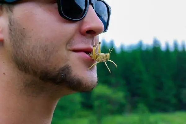 Grashüpfer hängt an der Lippe eines Mannes mit Sonnenbrille