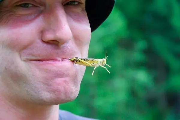 Grashüpfer hängt an Lippen eines lächelnden Mannes