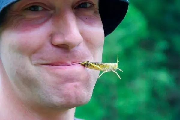 Grashüpfer sitzt auf der Lippe eines lächelnden Mannes