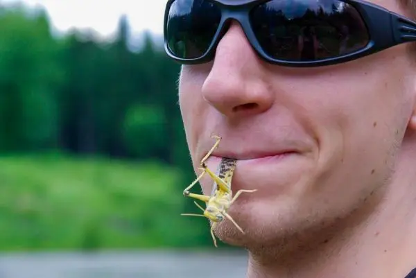 Grashüpfer sitzt auf der Lippe eines Mannes mit Sonnenbrille