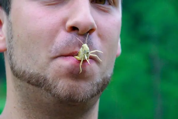 Grille sitzt auf der Lippe eines Mannes